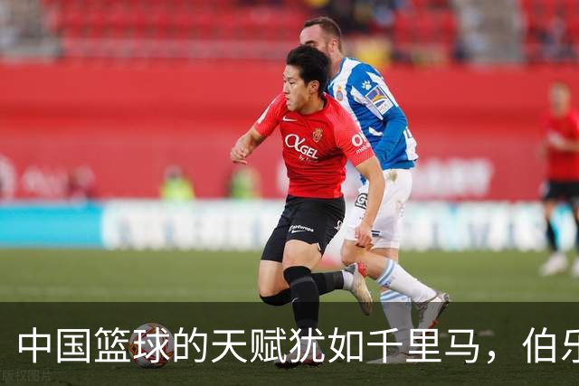 中国篮球的天赋犹如千里马，伯乐却在打盹